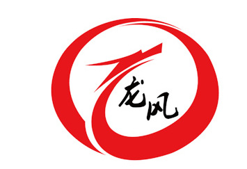 龍風logo.jpg